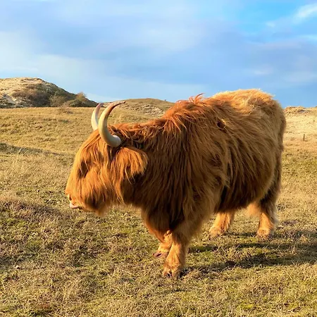 アパート Beachvibes エグモント・アーン・ゼー