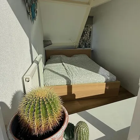 Lejlighed Beachvibes1