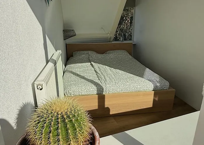 Apartment Beachvibes