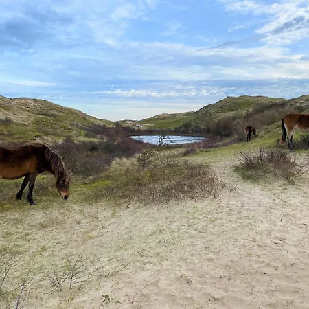 Beachvibes Apartmán Egmond aan Zee