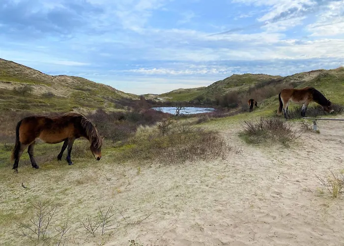 Beachvibes Apartman Egmond aan Zee
